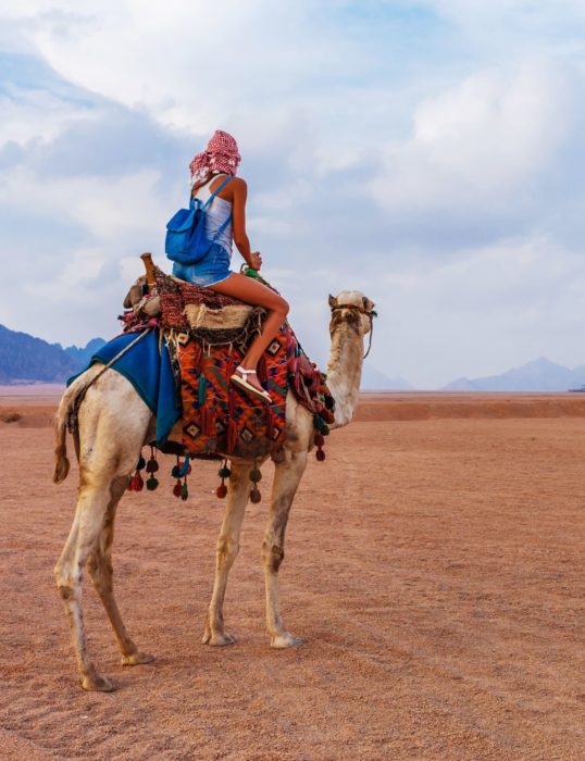 Morning Desert Safari